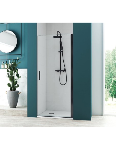 PAROI DE VERRE DENIA PORTE PIVOTANTE