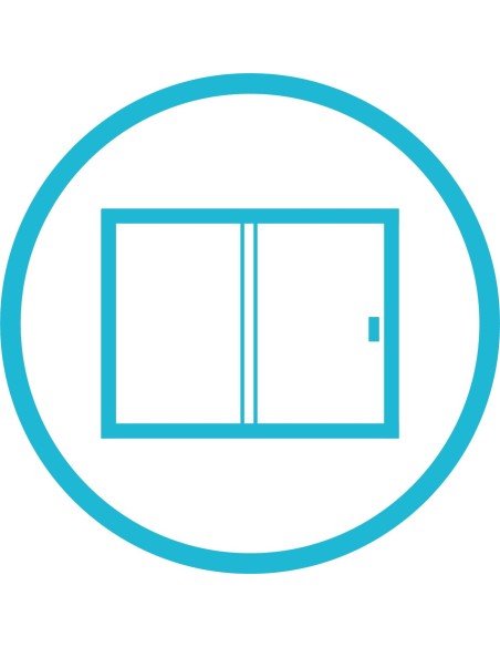 PAROI DE VERRE DENIA PORTE PIVOTANTE