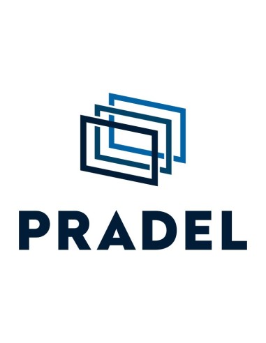 MIROIR TRIPTYQUE PRADEL