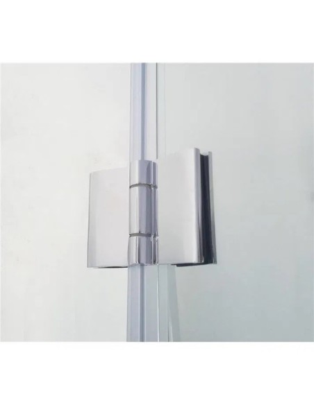 PAROI DE VERRE GLASS FIXE+PORTE BATTANTE GME