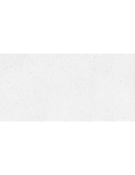 CARRELAGE BRIGHTON 60*120  PRISSMACER