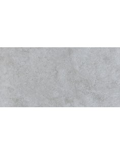 CARRELAGE RAPOLANO DIM 60*120 PRISSMACER 2