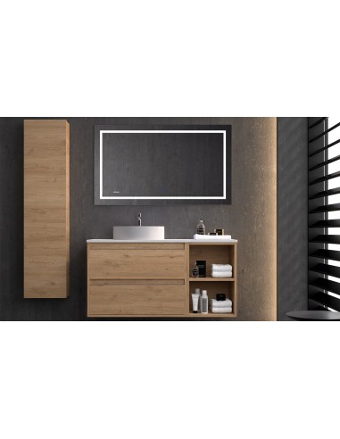 MEUBLE VASQUE NASU - DUPLACH