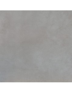 CARRELAGE DIM 60*60  ESS HABITAT PRISSMACER 2