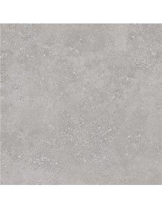 CARRELAGE DIM 60*60 FLAX  STN CERAMICA 2