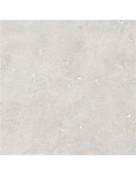 CARRELAGE DIM 60*60 FLAX  STN CERAMICA